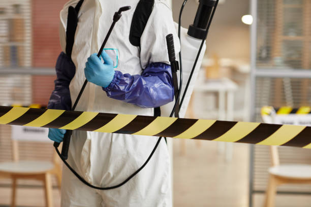 Professional Sewage Cleanup technician working in Morris Plains, NJ